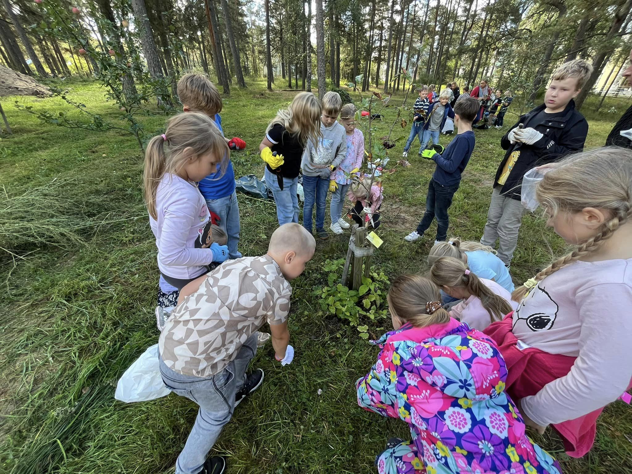 Võib olla pilt järgmisest: 8 inimest