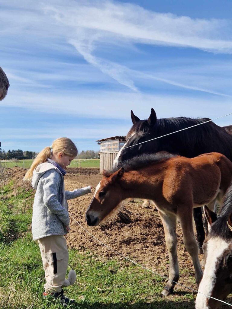 Foto kirjeldus ei ole saadaval.