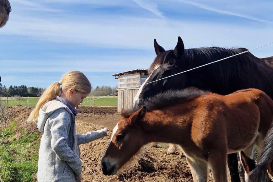 Foto kirjeldus ei ole saadaval.