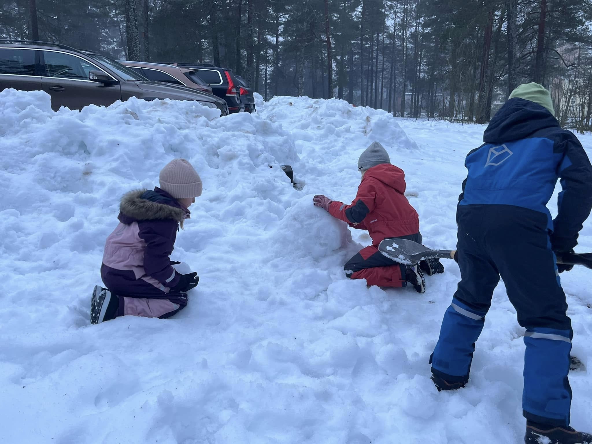 Võib olla pilt järgmisest: 3 inimest, lumepall ja inimesed suusatamas